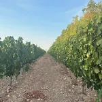 Bosco Elda * San Giovanni Rotondo