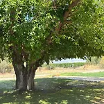 Bosco Elda Alojamento de Turismo Rural San Giovanni Rotondo