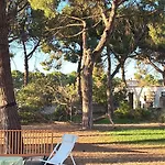 Bosco Elda Alojamento de Turismo Rural