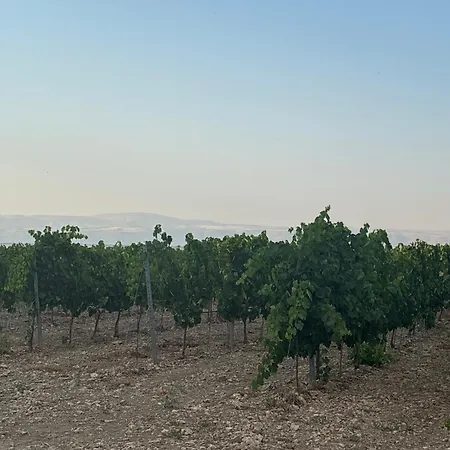 Bosco Elda Alojamento de Turismo Rural *