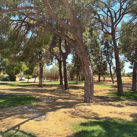 Bosco Elda