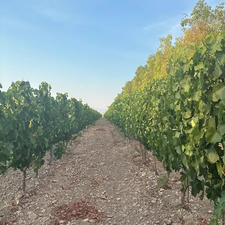 Bosco Elda * Сан-Джованни-Ротондо