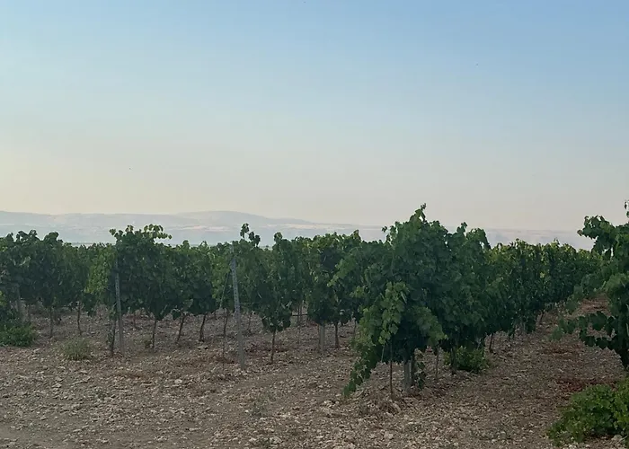 Bosco Elda Séjour à la ferme *