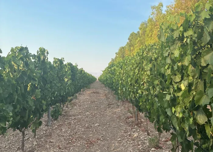 Bosco Elda * San Giovanni Rotondo