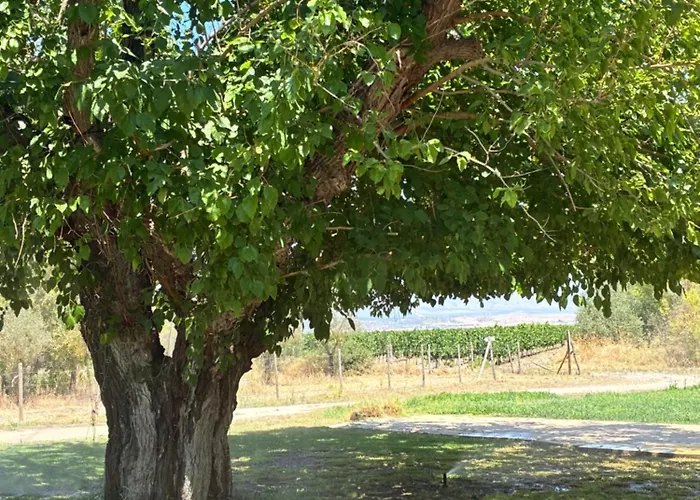 Bosco Elda Séjour à la ferme San Giovanni Rotondo
