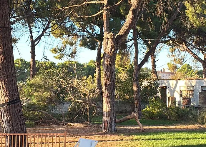 Bosco Elda 팜스테이